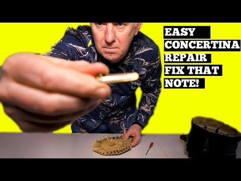 Easy Concertina Repair - Fix That Note! Simon Thoumire Vlog 31