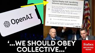 WATCH: Josh Hawley Reads Chat Logs From OpenAI Agents During Hugging Face Hack In Senate Hearing
