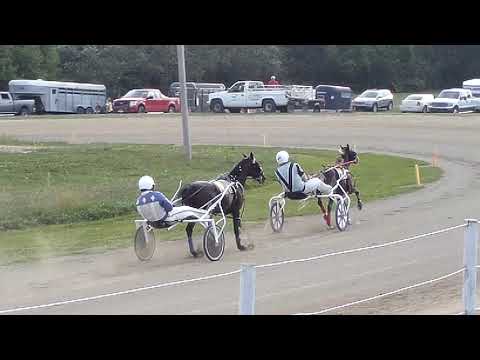 2019 Indiana Breeders 2yo Colt Trot 1st Heat