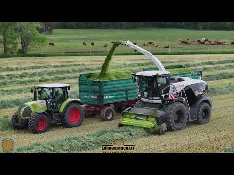 Roggen für die Biogasanlage häckseln 40T/Ha Claas Jaguar 980 Lohnauftrag 450ha Ernten 2025