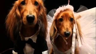 YOU WILL ALWAYS BE MINE - LAWRENCE GILLY