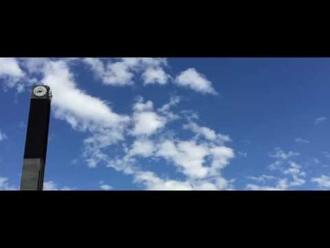 in the blue shirt - "Sensation Of Blueness" Album Trailer