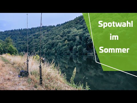 Catfish from the shore | Without a boat fishing for catfish in Germany