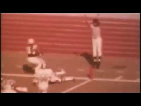 GREATEST stiff arm in football history? [Earl Campbell]