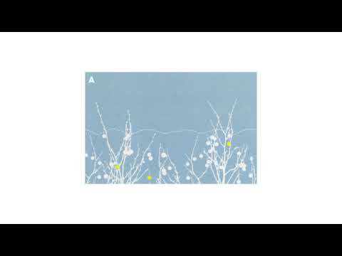 The Shins ⌁ Oh, Inverted World [Cassette Recording]