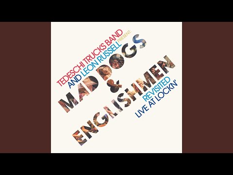 Space Captain (Live at LOCKN' / 2015)