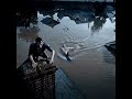 This Shark Showed Up In The Flooded Streets