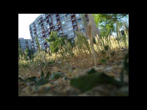 Madrabit vs. Rootshaper - Depths of the Tömlöc