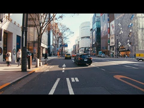Tokyo Cycling Tour in Minato-ku and Chiyoda-ku | Bike Ride POV - 4K 60fps
