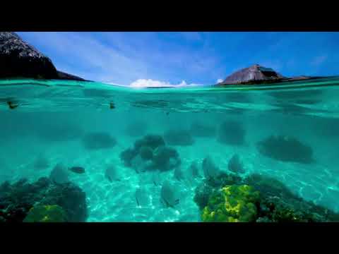 BORA BORA - Esplorate la laguna