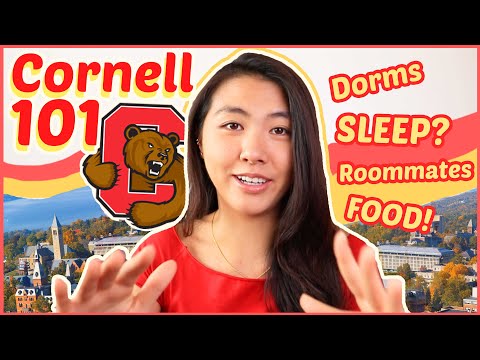 ????EVERYTHING to know about Cornell University (for Prospective Students + Freshmen!) | Katie Tracy
