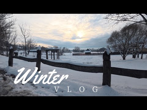 A Day in the Snow - Miercurea Ciuc- Romania | Aesthetic Vlog, Fun in the Snow + Special Guests ❄️
