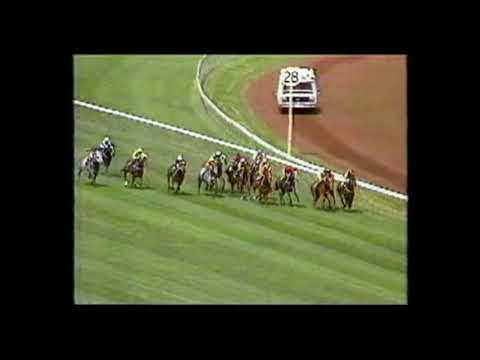 1989 Gadsden Stakes - Planet Ruler