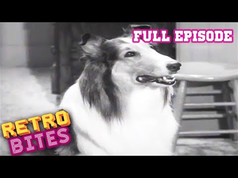 The Bonnet | Lassie | Full Episodes | Old Cartoons | Old Cartoons