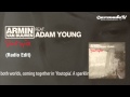 Armin van Buuren feat. Adam Young - Youtopia ...