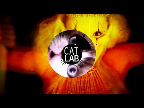 CatLab | Set Mix ★ Adele, Dua Lipa, Gnarls Barkley, Donna Summer, Inner City, etc..