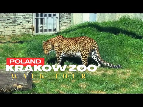 Discover the Secrets of Krakow Zoo!