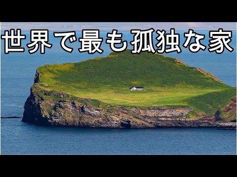 「ゾンビ軸」がアイスランドを二極化 – ビョークも反応