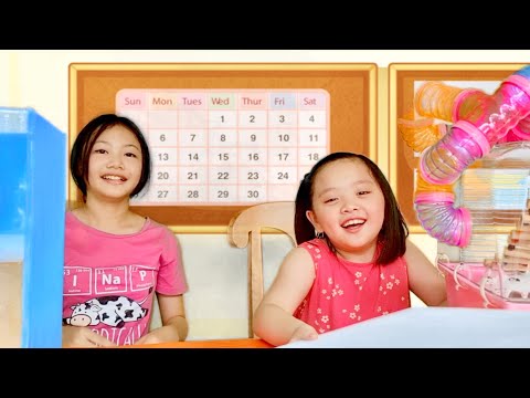 Bug Teaches Her School Friend Not To Give Up In School