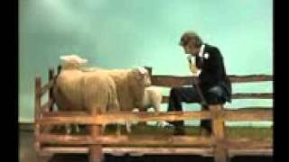 CARRELL, RUDI  //  „Wann wird&#39;s mal wieder richtig Sommer&quot;