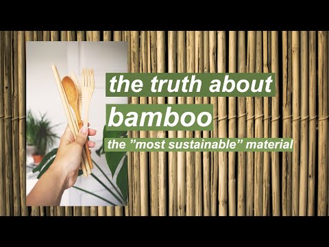 The Impact of Bamboo Clothing // is it really sustainable?