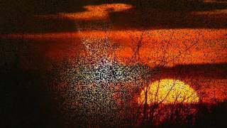 Adiemus__Amaté Adea