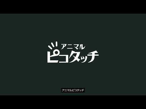 アニマルピコタッチ video thumbnail