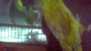 Wow - Kia Shine (ft. Paco) PACORAP