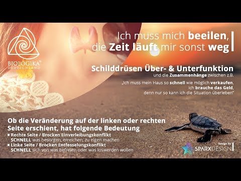 Die Schuppenflechte des Grundes des Entstehens und ansteckend Nejrodermit die Behandlung lokal