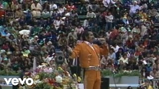 Vicente Fernández - Cruz De Olvido (Audio)