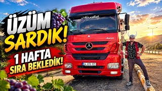     TIRLA ÜZÜM NAKLİYESİ 🍇 1 HAFTA SIRA BEKLEDİK! | Mercedes Axor