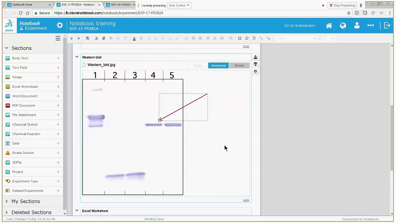BIOVIA Notebook Electronic Laboratory Notebook TECHNIA (US)