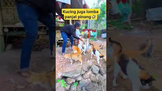 Download lagu kucing ikutan lomba panjat pinang #lomba17an #lombaagustusan #kucinglucu #17agustus mp3 Download lagu kucing ikutan lomba panjat pinang #lomba17an #lombaagustusan #kucinglucu #17agustus mp3