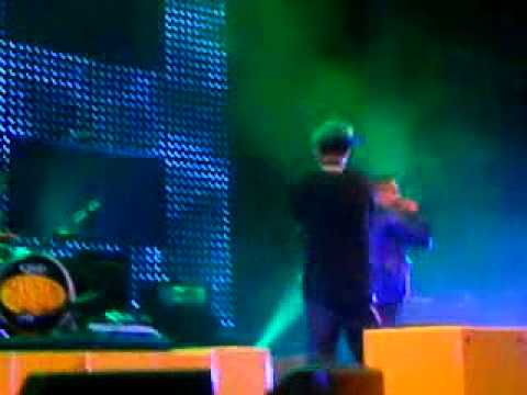 Pato pooh , adam tensta