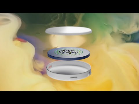 NECYVERSE - Backdrop Build