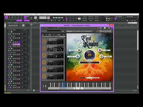 Composing with Forest Kingdom III by Eduardo Tarilonte