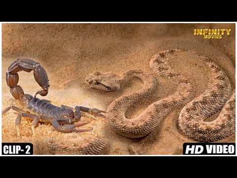 Desert Is Home For Reptiles | Earth Movie Clip 2