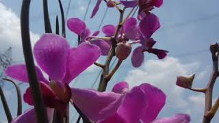 Download lagu Jangan Bersedih (tetap semangat) mp3 Download lagu Jangan Bersedih (tetap semangat) mp3