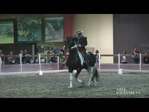 ARTE EQUESTRE TV - GALA ESIBIZIONE DOMA VAQUERA -