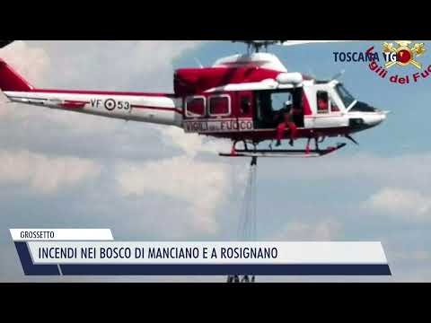 2022-08-02 GROSSETTO - INCENDI NEI BOSCO DI MANCIANO E A ROSIGNANO