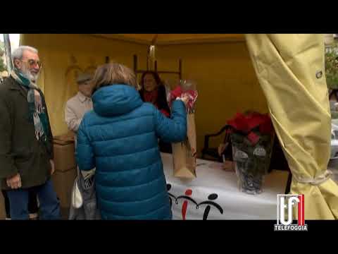 INTERV MICHELE MONACO AIL 9 12 2017