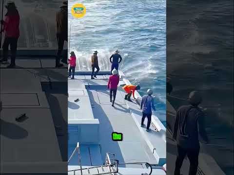 Bí Mật Câu Cá Không Cần Gỡ Lưỡi!