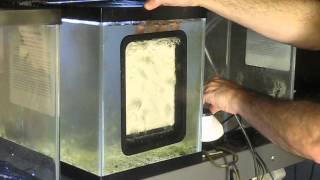 preview picture of video 'Santa Monica Filtration HOG1.3 Upflow Algae Scrubber - Unboxing and Installation'