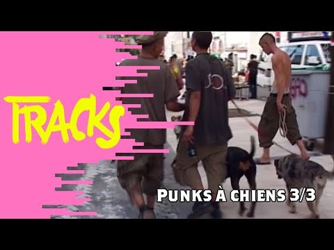 Punks à Chiens (3/3) 2007 - Tracks ARTE