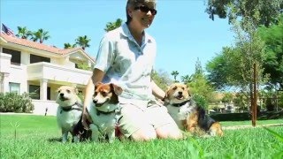 Magellan Health Services of Arizona, Sterling Awards 2013, Big Business Finalist