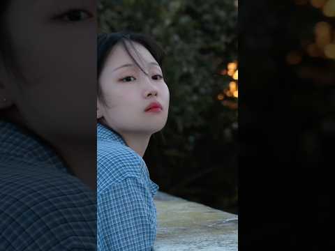 비디오 11