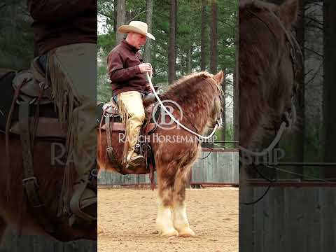 Basically, it's a one rein stop.   #b1 #b1horsemanship#es20