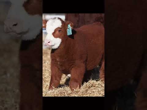 Falls du einen schlechten Tag hattest...