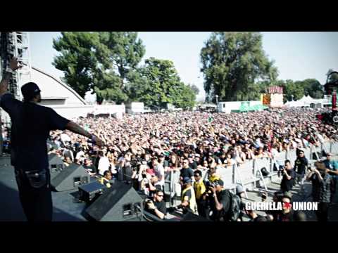 Paid Dues 2012 Wrap Up