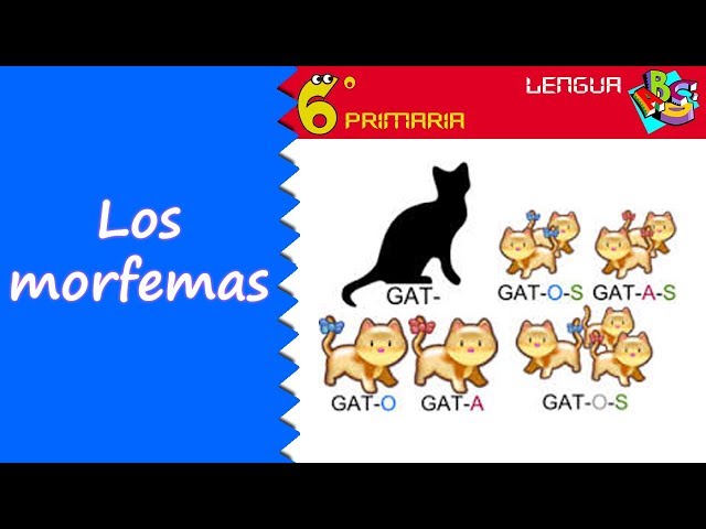 Vídeo relacionado con Lengua. 6 Primaria. Savia. Andalucía - 9788467575835